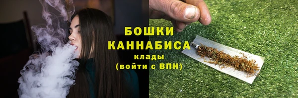 трава Магас