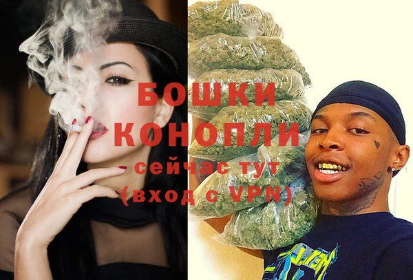 трава Магас
