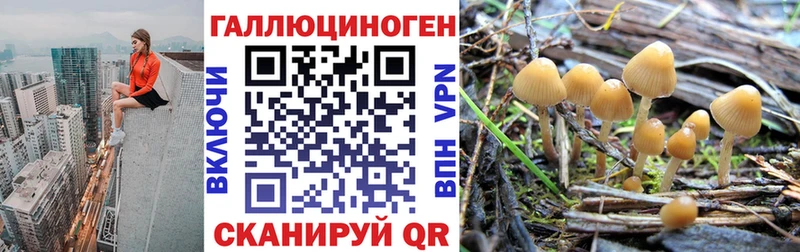 магазин продажи   Плавск  Галлюциногенные грибы Magic Shrooms 